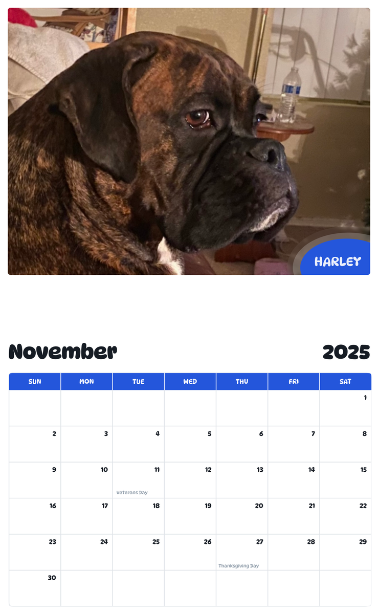 July 2025 - June 2026 Harley - Pawidols Pet Calendar