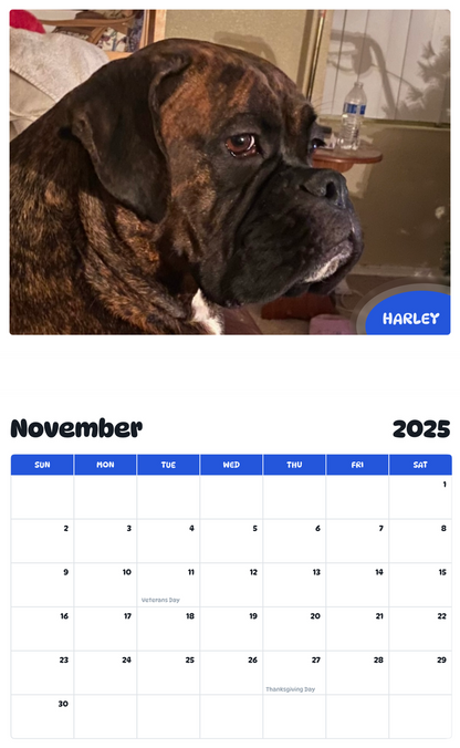 July 2025 - June 2026 Harley - Pawidols Pet Calendar