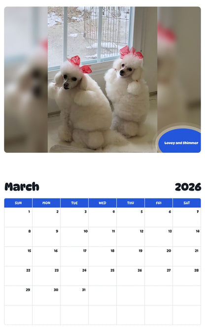 November 2025 - October 2026 Lovey and Shimmer - Pawidols Pet Calendar