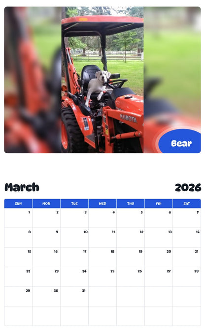 November 2025 - October 2026 Bear - Pawidols Pet Calendar
