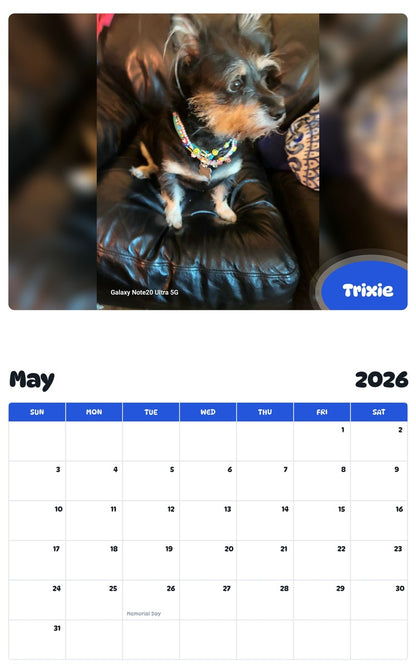 2026 - 2027 Trixie - Pawidols Pet Calendar