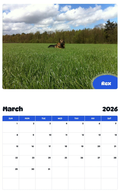 November 2025 - October 2026 Rex - Pawidols Pet Calendar