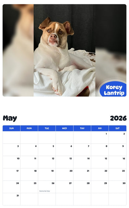 2026 - 2027 Korey Lantrip - Pawidols Pet Calendar