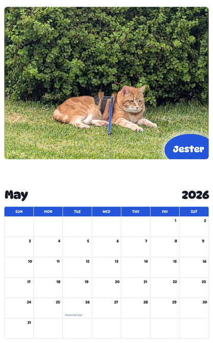 2026 - 2027 Jester - Pawidols Pet Calendar