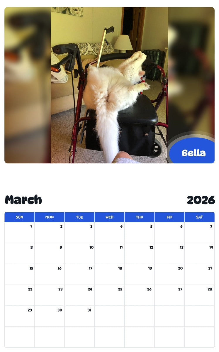November 2025 - October 2026 Bella - Pawidols Pet Calendar