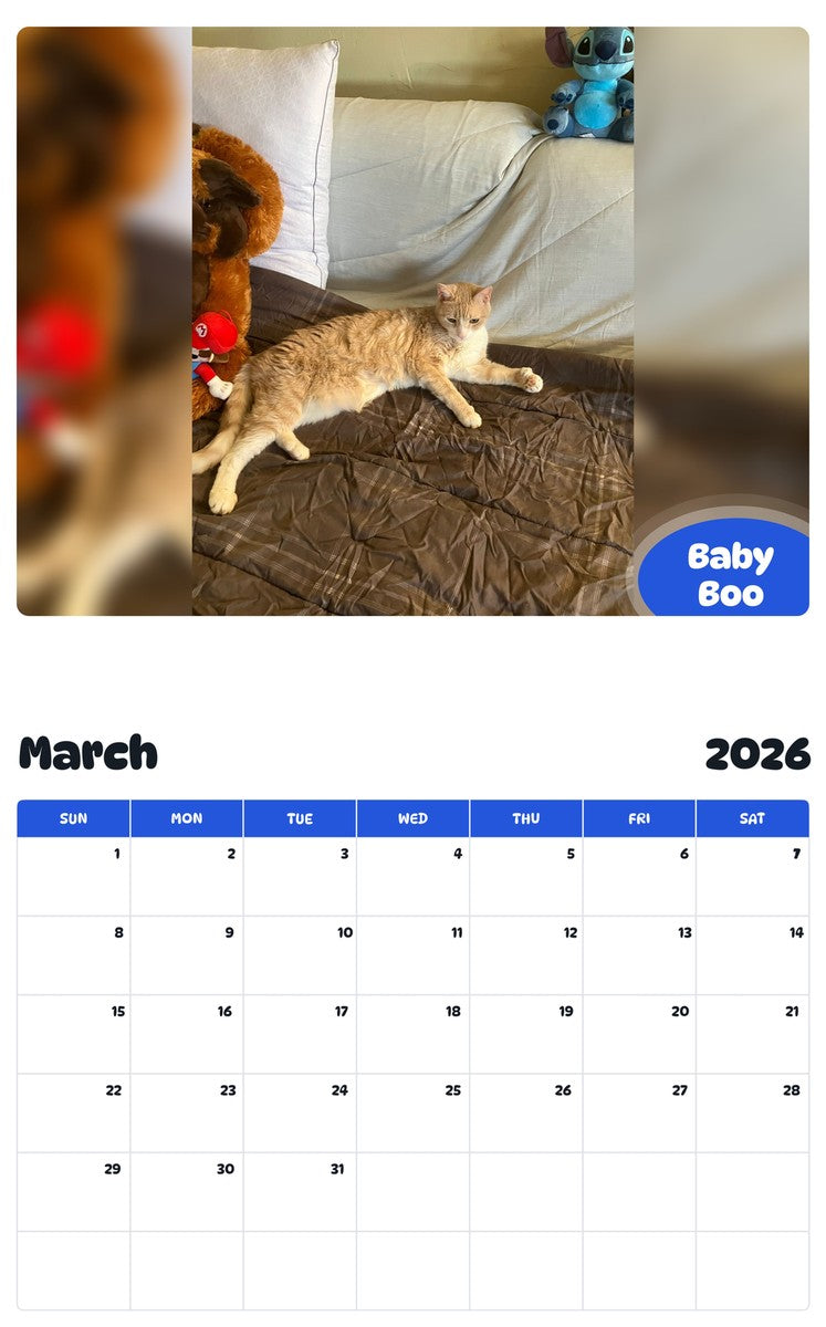 November 2025 - October 2026 Baby Boo - Pawidols Pet Calendar