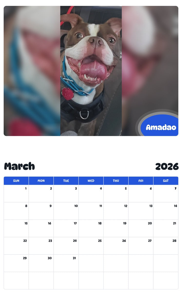 November 2025 - October 2026 Amadao - Pawidols Pet Calendar