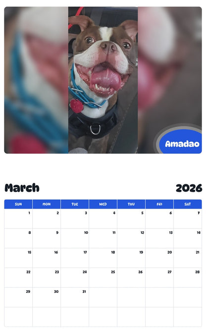 November 2025 - October 2026 Amadao - Pawidols Pet Calendar