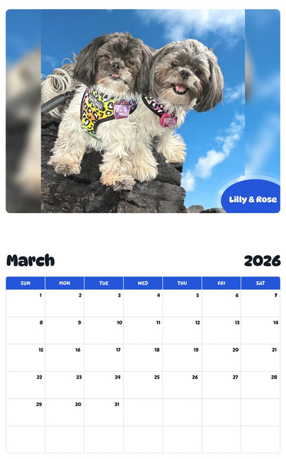 November 2025 - October 2026 Lilly & Rose - Pawidols Pet Calendar