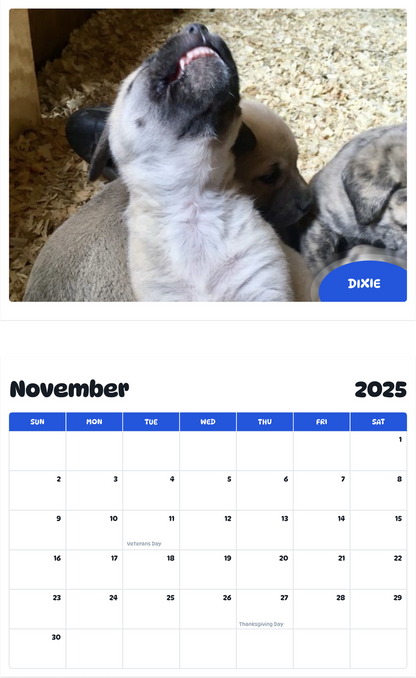 July 2025 - June 2026 Dixie - Pawidols Pet Calendar