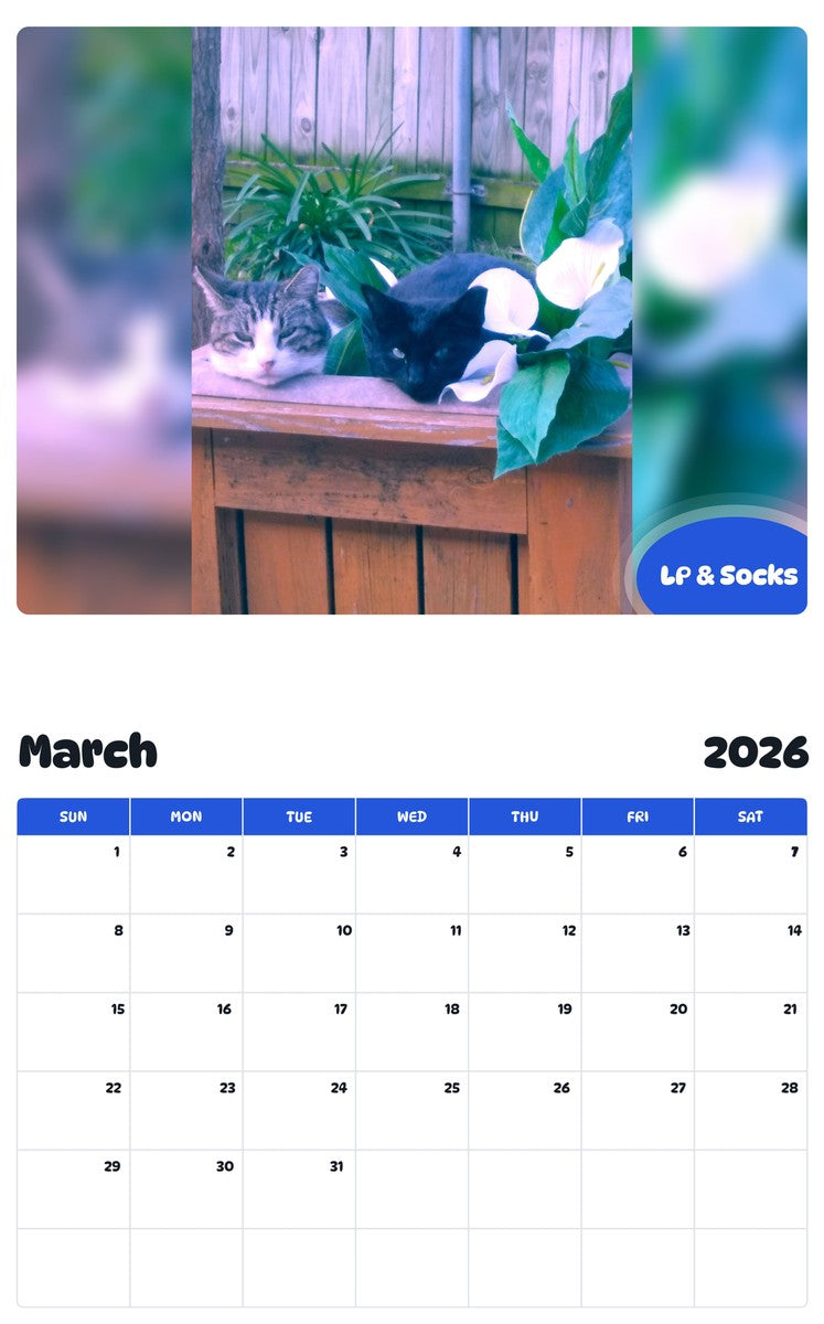 November 2025 - October 2026 LP & Socks - Pawidols Pet Calendar