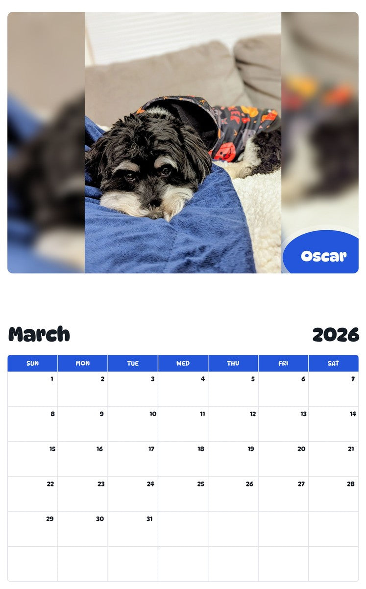 November 2025 - October 2026 Oscar - Pawidols Pet Calendar