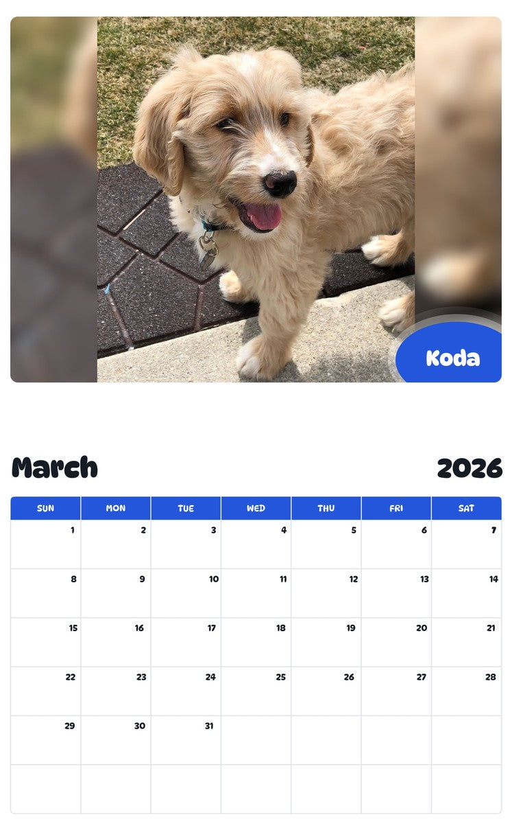 November 2025 - October 2026 Koda - Pawidols Pet Calendar