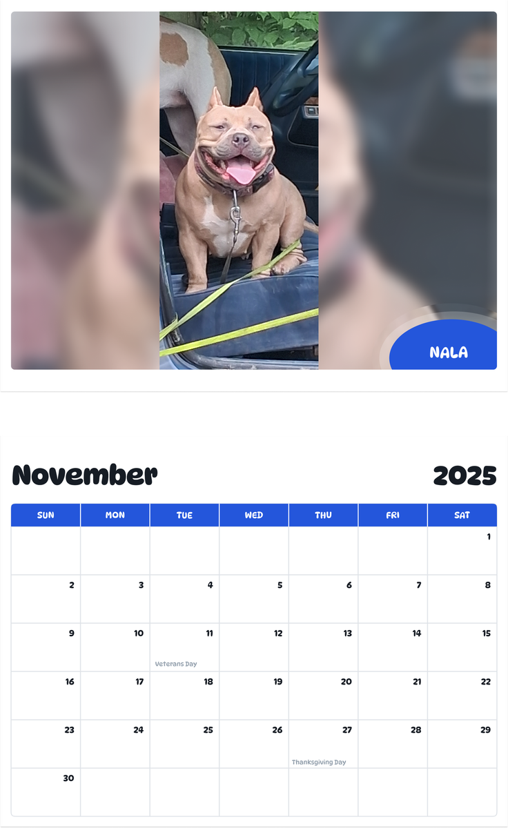 July 2025 - June 2026 Nala - Pawidols Pet Calendar