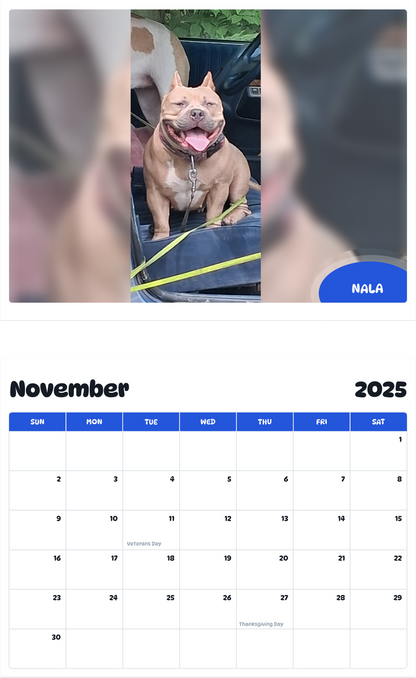 July 2025 - June 2026 Nala - Pawidols Pet Calendar