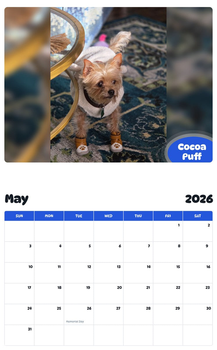 2026 - 2027 Cocoa Puff - Pawidols Pet Calendar
