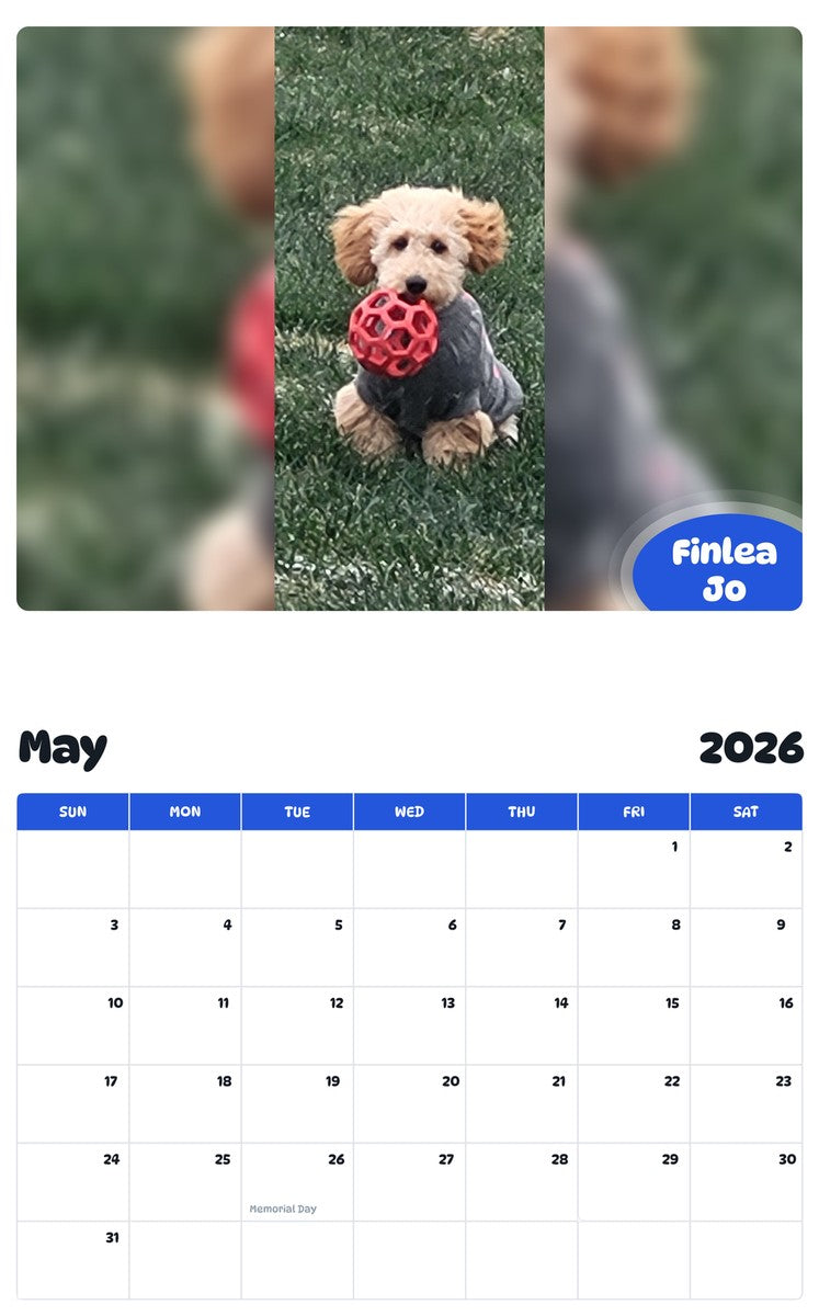 2026 - 2027 Finlea Jo - Pawidols Pet Calendar