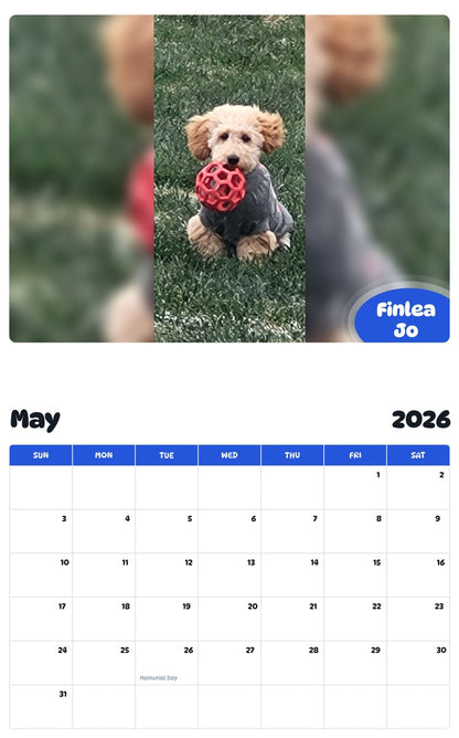 2026 - 2027 Finlea Jo - Pawidols Pet Calendar