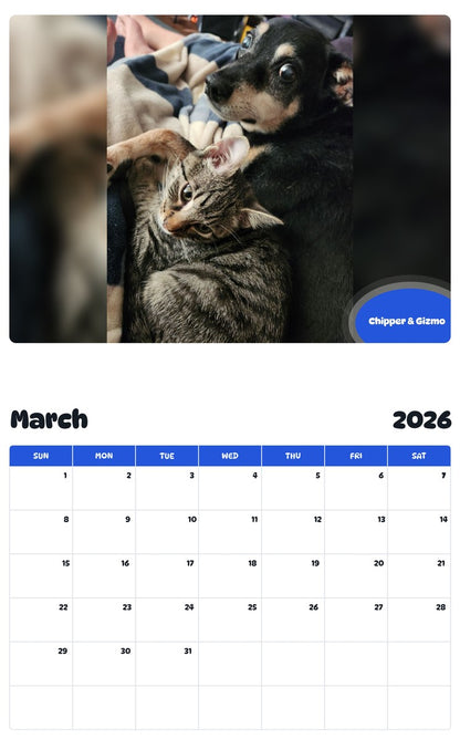 November 2025 - October 2026 Chipper & Gizmo - Pawidols Pet Calendar