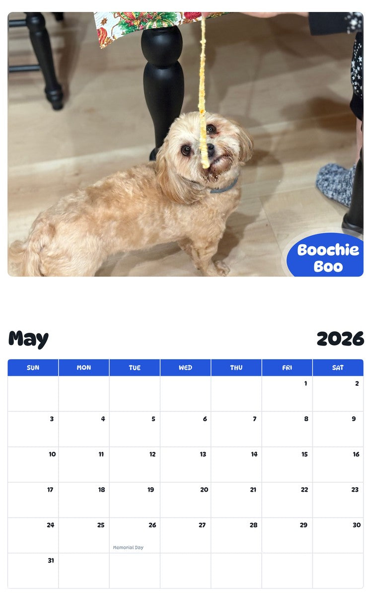 2026 - 2027 Boochie Boo - Pawidols Pet Calendar