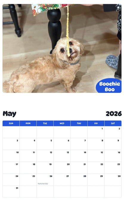 2026 - 2027 Boochie Boo - Pawidols Pet Calendar