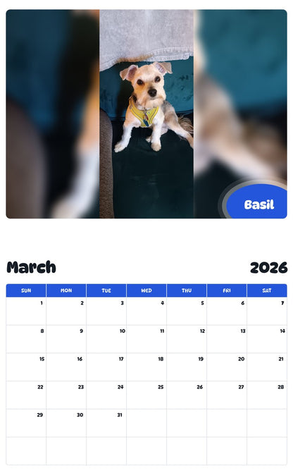 November 2025 - October 2026 Basil - Pawidols Pet Calendar