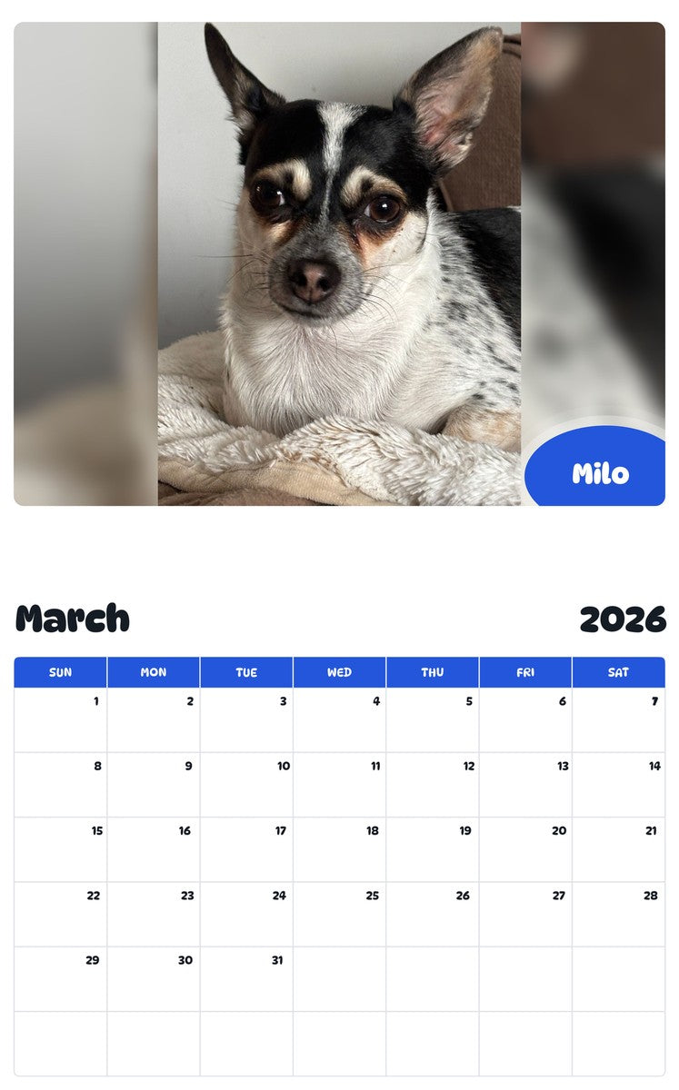 November 2025 - October 2026 Milo - Pawidols Pet Calendar
