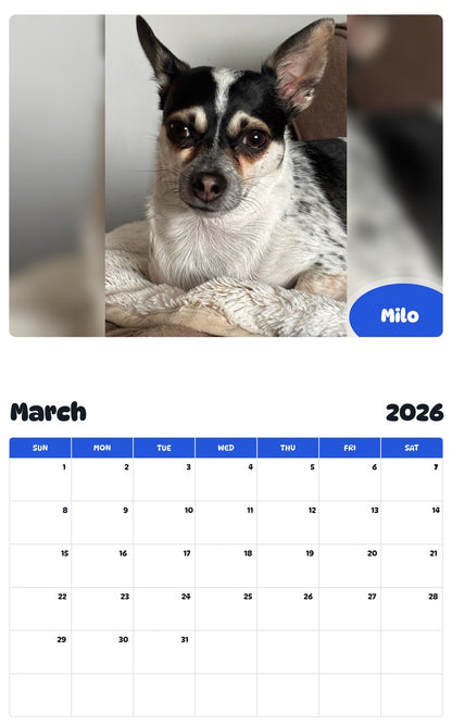 November 2025 - October 2026 Milo - Pawidols Pet Calendar