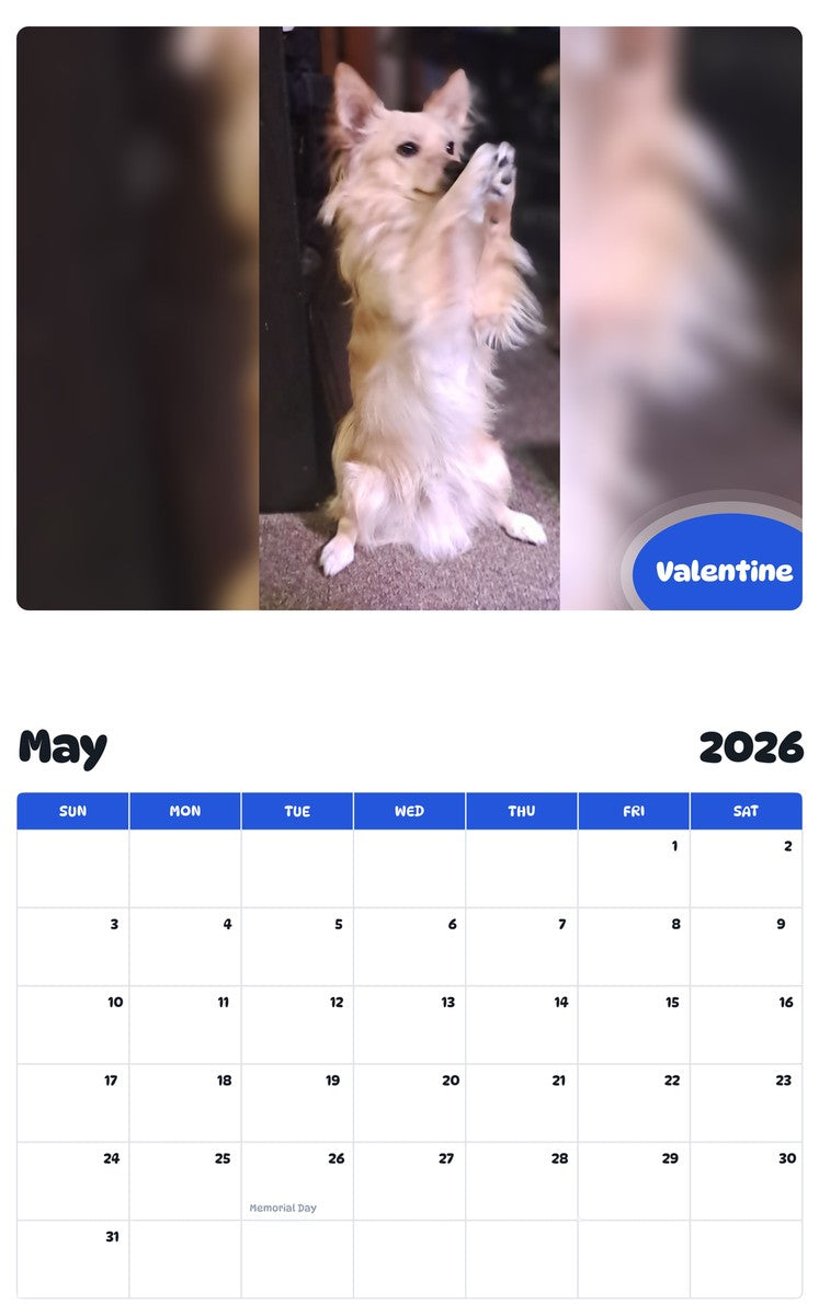 2026 - 2027 Valentine - Pawidols Pet Calendar