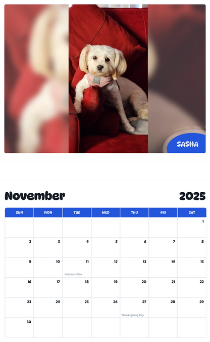 July 2025 - June 2026 Sasha - Pawidols Pet Calendar