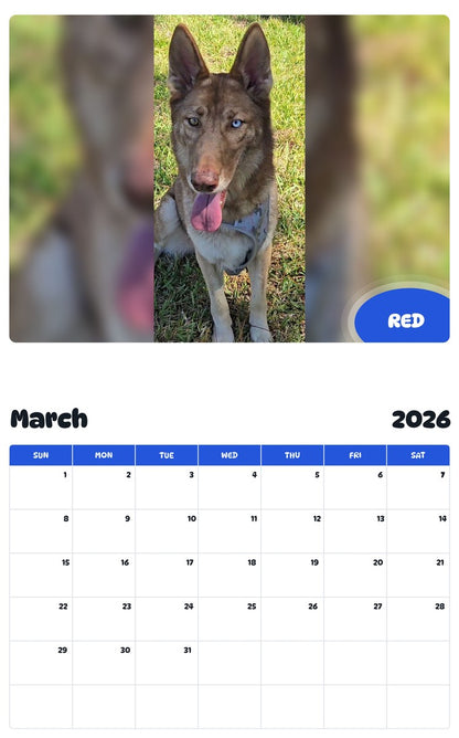November 2025 - October 2026 RED - Pawidols Pet Calendar