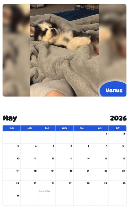 2026 - 2027 Venus - Pawidols Pet Calendar
