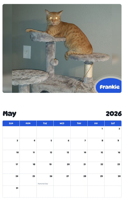 2026 - 2027 Frankie - Pawidols Pet Calendar