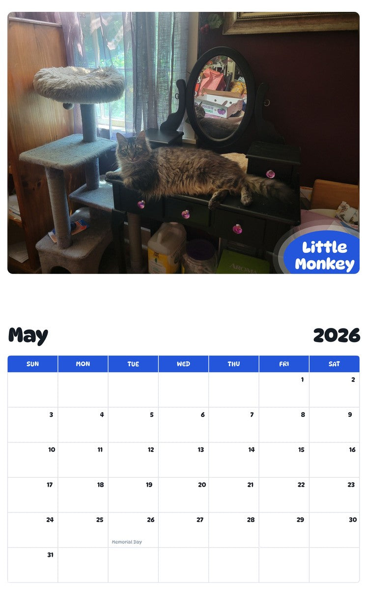 2026 - 2027 Little Monkey - Pawidols Pet Calendar