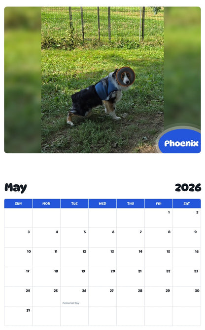 2026 - 2027 Phoenix - Pawidols Pet Calendar