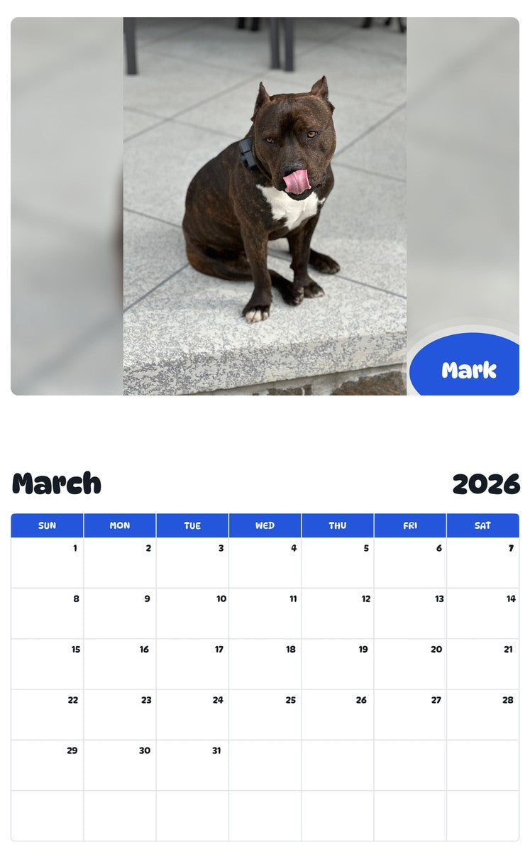 November 2025 - October 2026 Mark - Pawidols Pet Calendar
