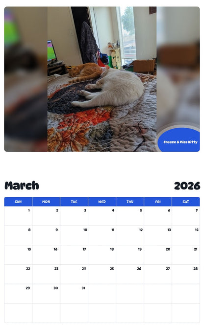 November 2025 - October 2026 Freeze & Miss Kitty - Pawidols Pet Calendar