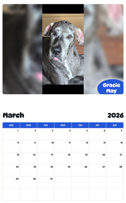 November 2025 - October 2026 Gracie May - Pawidols Pet Calendar