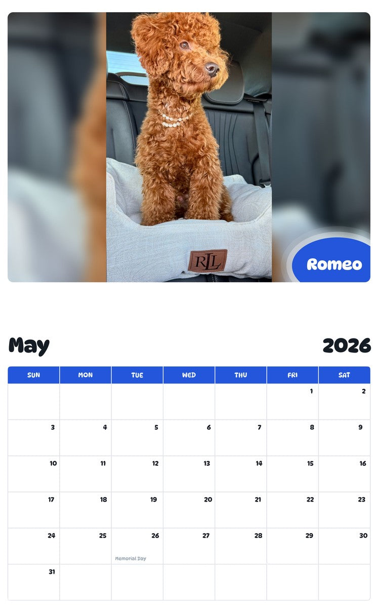 2026 - 2027 Romeo - Pawidols Pet Calendar