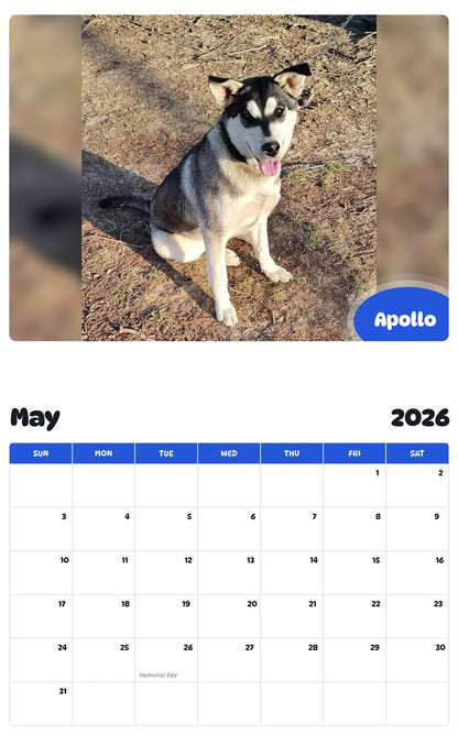2026 - 2027 Apollo - Pawidols Pet Calendar