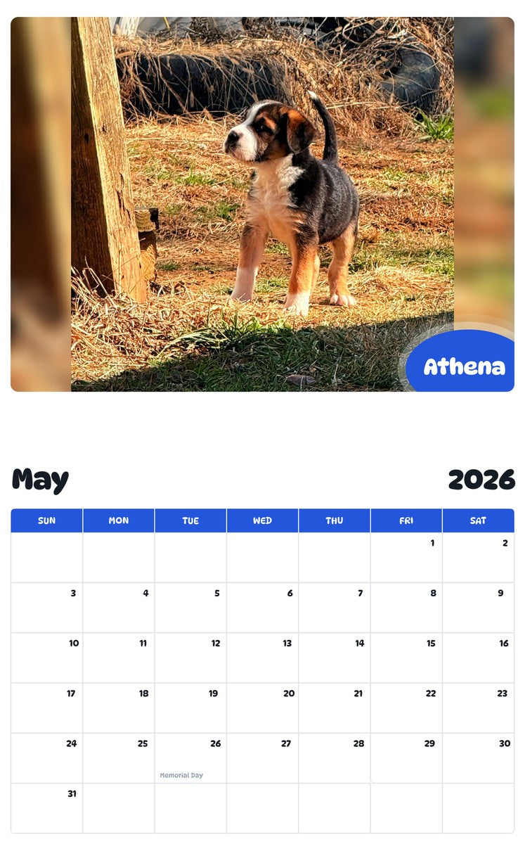 2026 - 2027 Athena - Pawidols Pet Calendar
