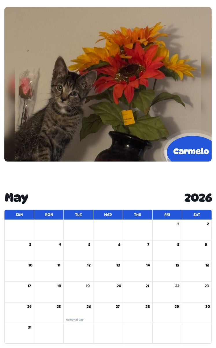 2026 - 2027 Carmelo - Pawidols Pet Calendar