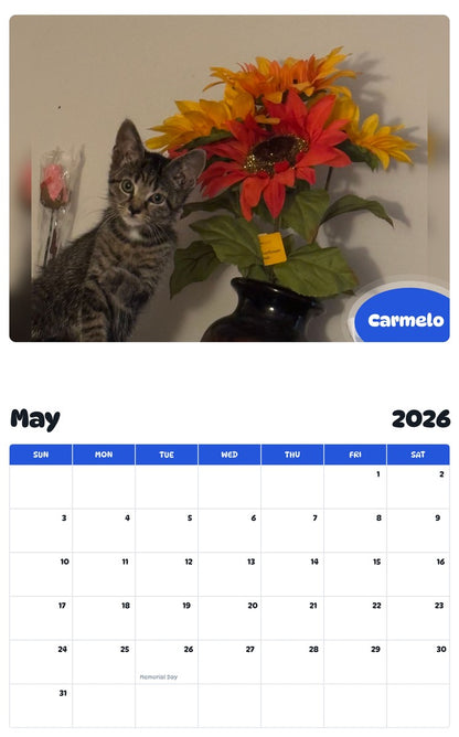 2026 - 2027 Carmelo - Pawidols Pet Calendar