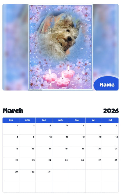 November 2025 - October 2026 Maxie - Pawidols Pet Calendar