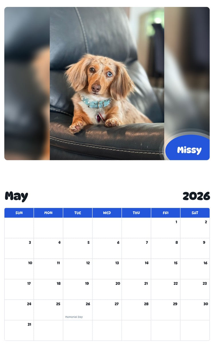 2026 - 2027 Missy - Pawidols Pet Calendar