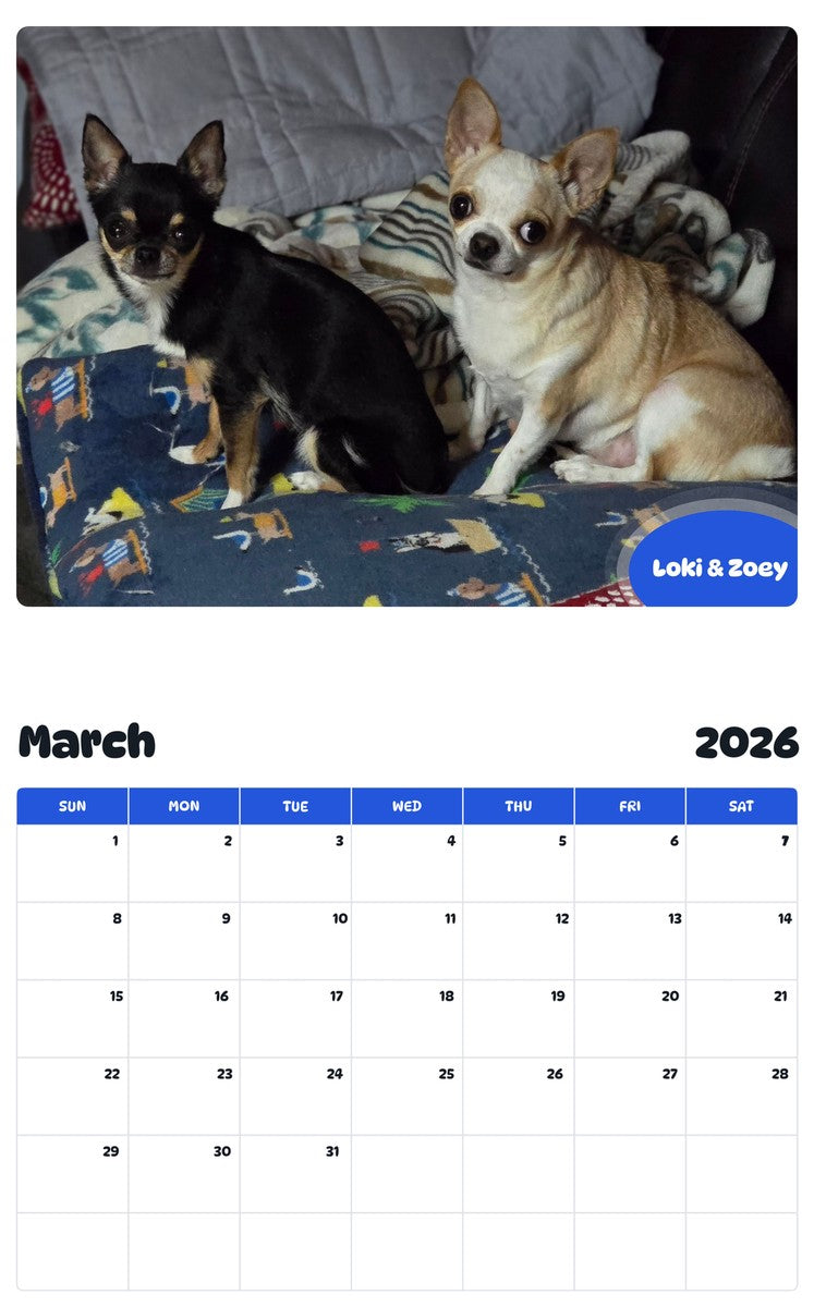 November 2025 - October 2026 Loki & Zoey - Pawidols Pet Calendar
