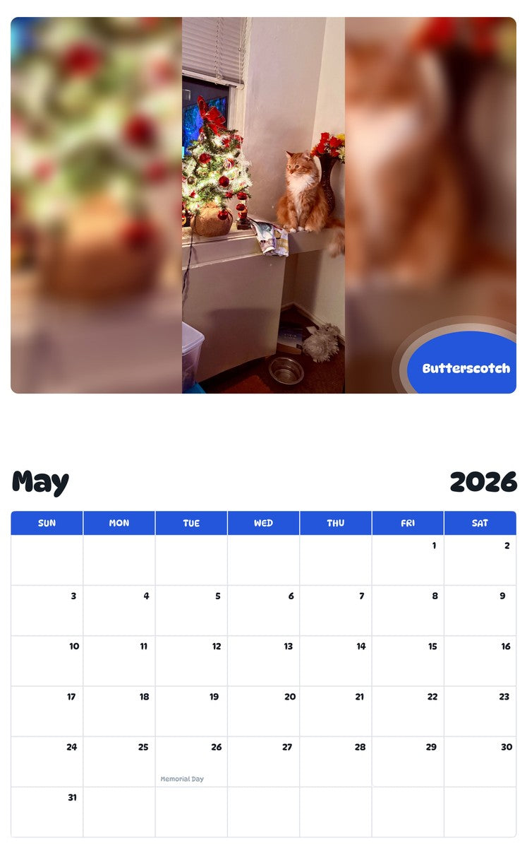 2026 - 2027 Butterscotch - Pawidols Pet Calendar