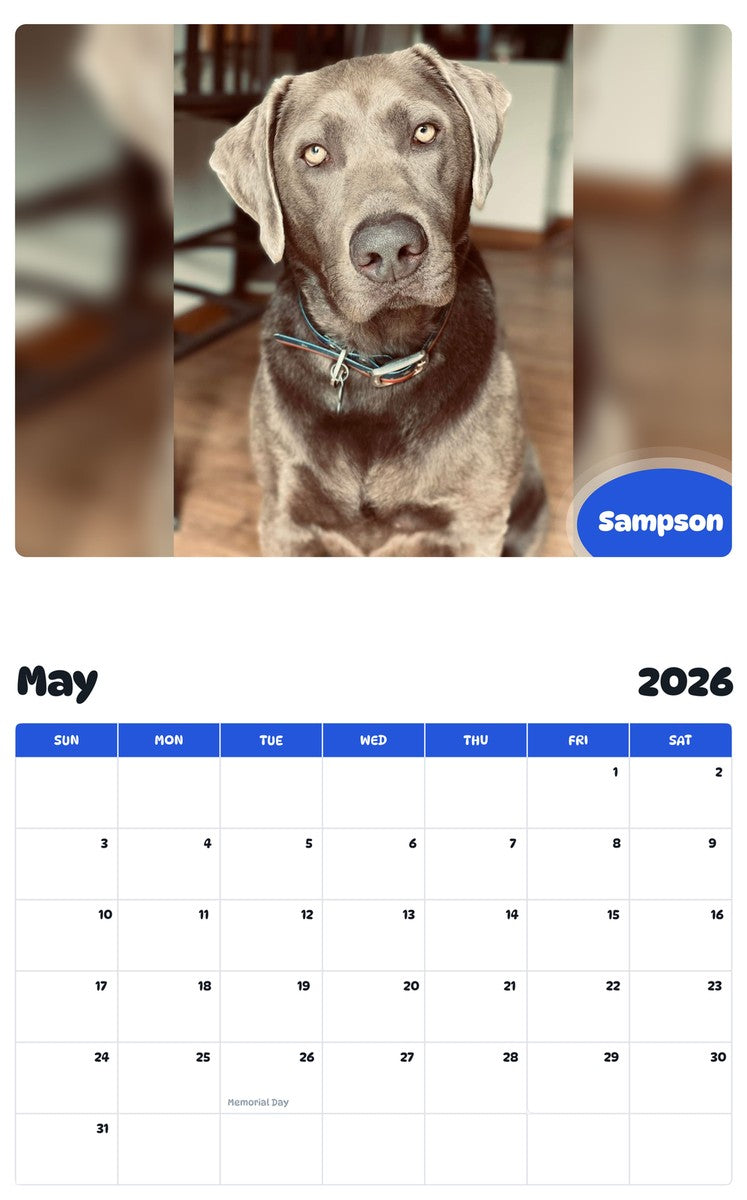 2026 - 2027 Sampson - Pawidols Pet Calendar