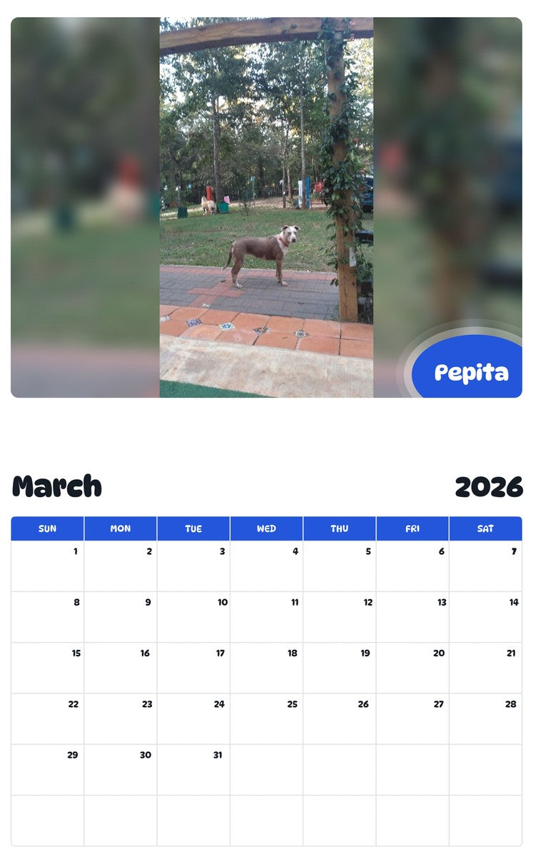 November 2025 - October 2026 Pepita - Pawidols Pet Calendar