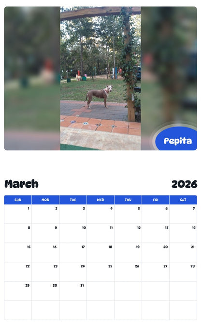 November 2025 - October 2026 Pepita - Pawidols Pet Calendar
